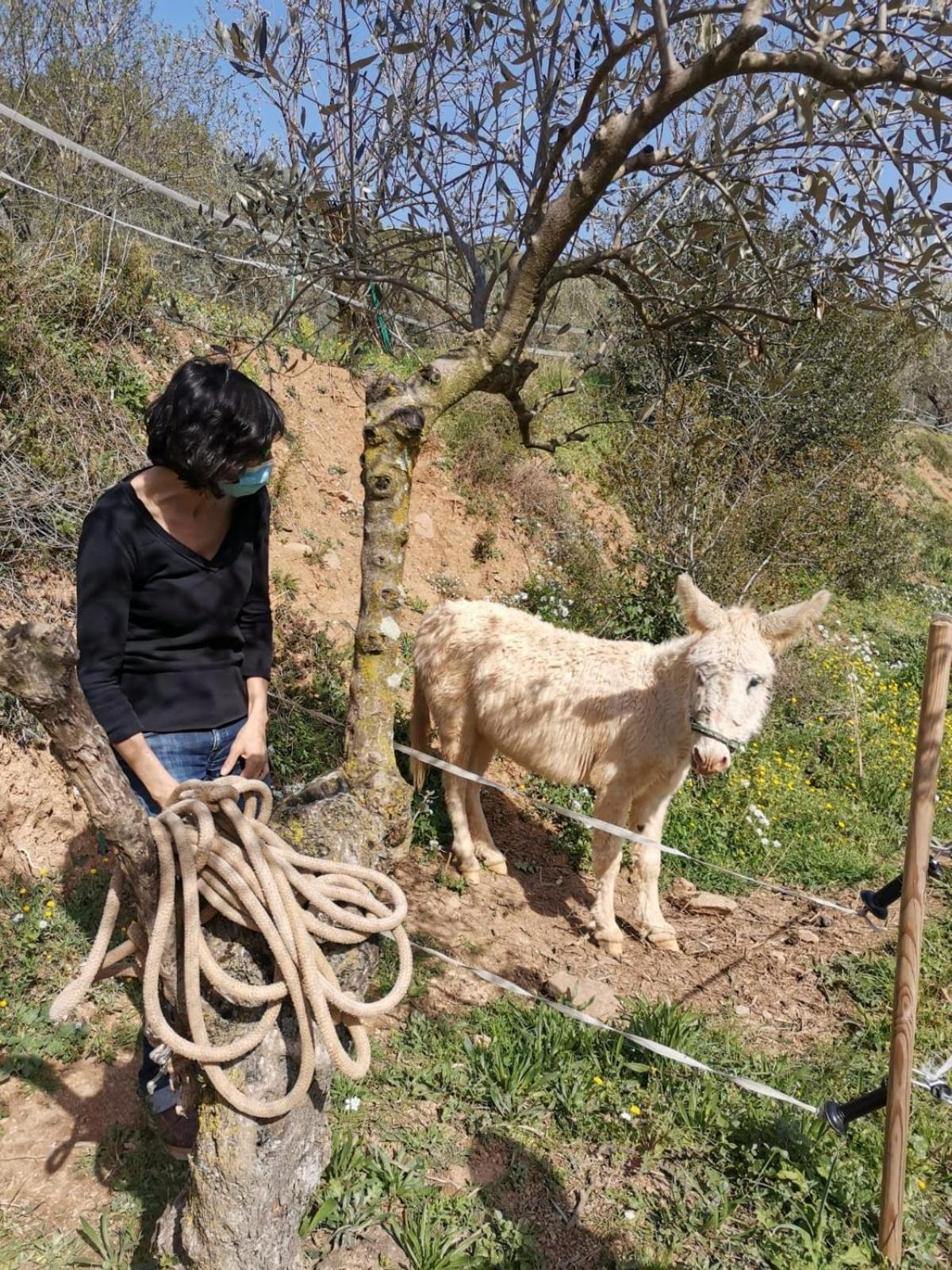 Masia Can Sunyer Agroturismo La Garriga Exterior foto